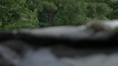 twd0707-0005.jpg