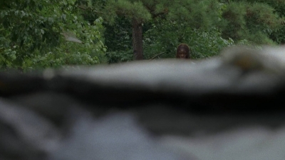 twd0707-0006.jpg