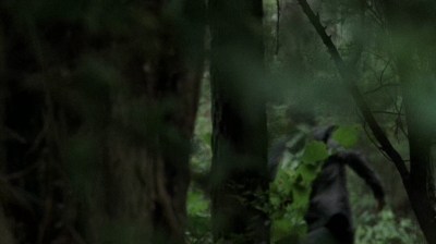 twd0707-1631.jpg