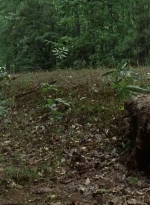 twd0707-1430.jpg