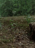 twd0707-1431.jpg
