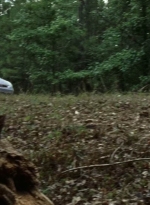 twd0707-1433.jpg