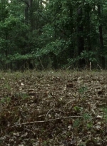 twd0707-1434.jpg