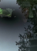 twd0707-1436.jpg