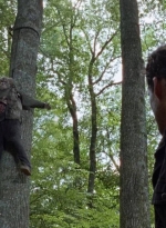 twd0707-2426.jpg