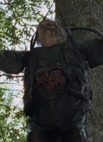 twd0707-2429.jpg