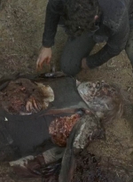 twd0707-2435.jpg