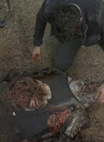 twd0707-2436.jpg