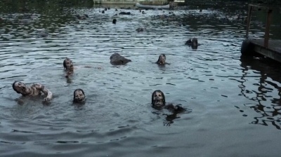 twd0708-0384.jpg