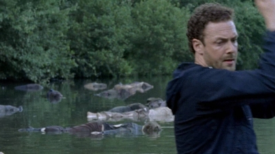 twd0708-0429.jpg