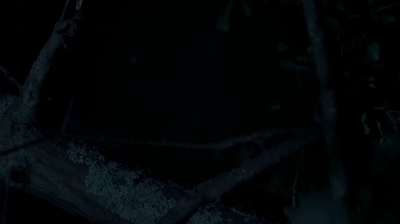 twd0708-4008.jpg