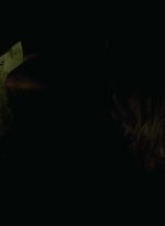 twd0708-0192.jpg