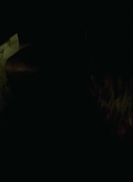 twd0708-0193.jpg