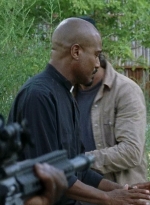 twd0708-3377.jpg