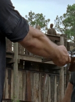 twd0708-3895.jpg