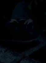 twd0708-4006.jpg