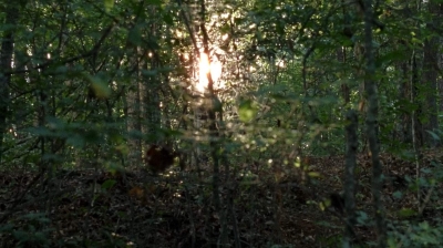 twd0709-1509.jpg