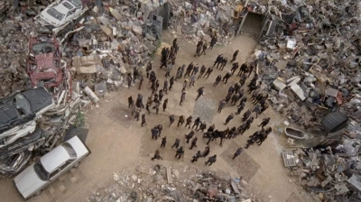 twd0710-1219.jpg
