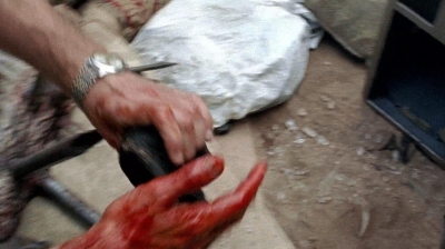 twd0710-1944.jpg