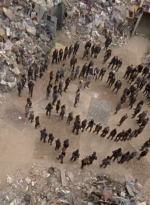 twd0710-1225.jpg