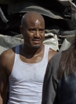 twd0710-1368.jpg