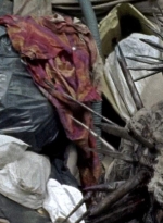 twd0710-1853.jpg