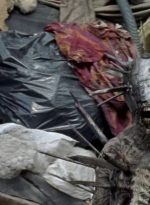 twd0710-1854.jpg