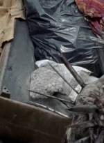 twd0710-1855.jpg