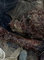 twd0710-1859.jpg