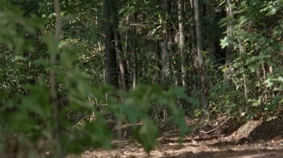twd0712-0159.jpg