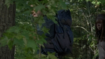 twd0712-0195.jpg