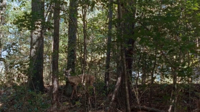 twd0712-0486.jpg