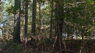 twd0712-0487.jpg
