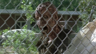 twd0712-0623.jpg