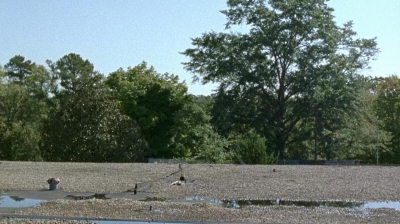 twd0712-0943.jpg