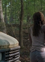 twd0712-0513.jpg