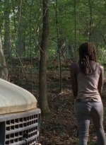 twd0712-0522.jpg