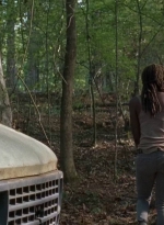 twd0712-0523.jpg