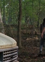 twd0712-0532.jpg