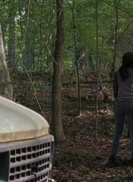twd0712-0533.jpg
