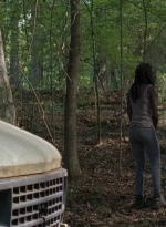 twd0712-0534.jpg