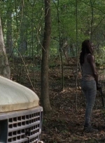 twd0712-0535.jpg