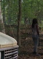 twd0712-0546.jpg
