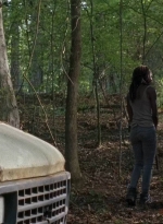 twd0712-0549.jpg