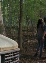 twd0712-0550.jpg