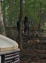 twd0712-0568.jpg