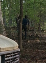 twd0712-0570.jpg