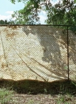 twd0712-0590.jpg