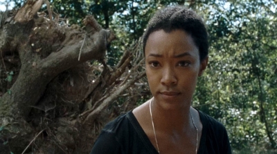 twd0714-0130.jpg
