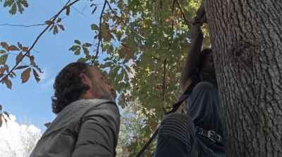 twd0715-0184.jpg